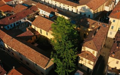 GIORNATA NAZIONALE A.D.S.I.: UN VIDEO EMOZIONALE